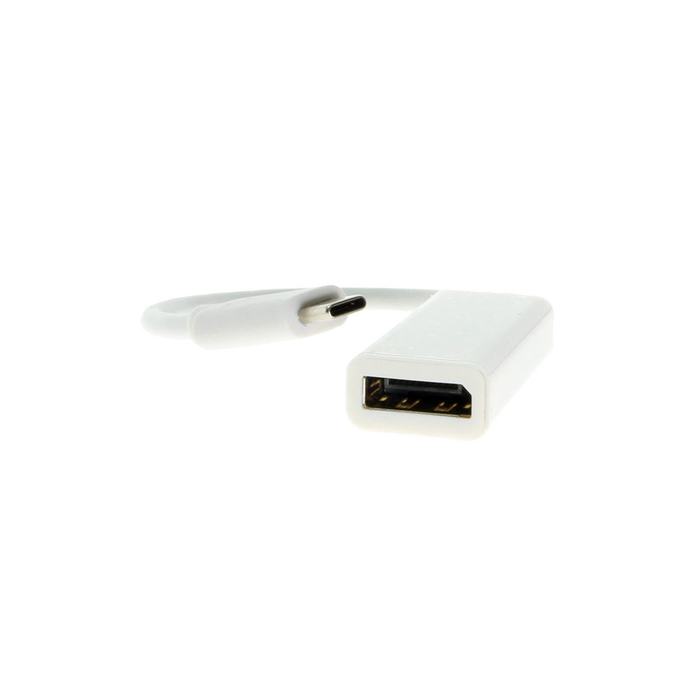 Definition of DisplayPort