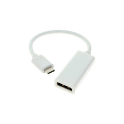 White USB C to DisplayPort UHD Adapter